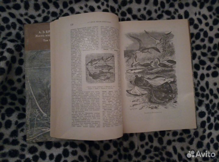 А.Э.Брэм Жизнь животных