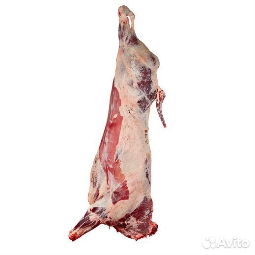 Продам мясо говядина