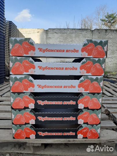 Евротара (коробка) для клубники