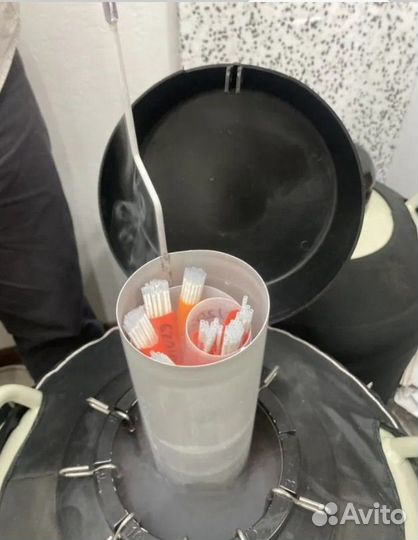 Семя барана производителя