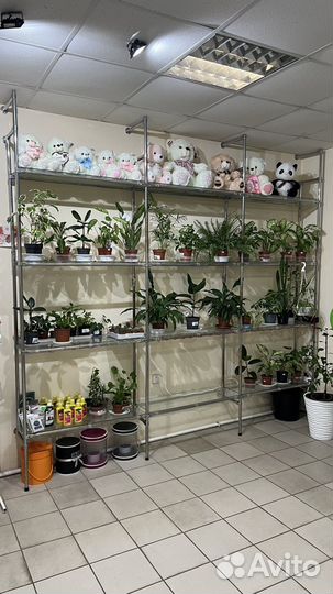 Продам цветочный магазин