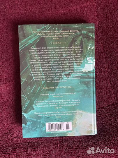 Темные дни книга