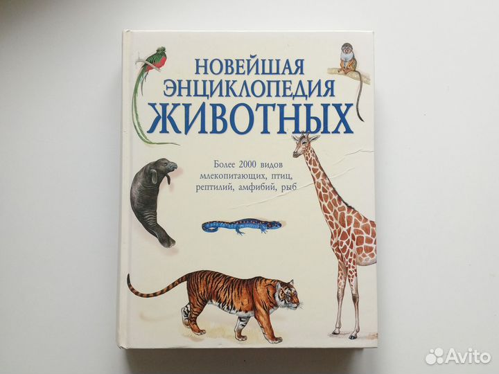 Энциклопедия животных 2008г