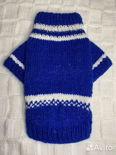 Одежда для животных