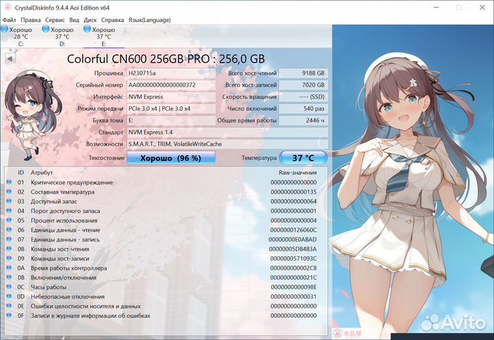 Colorful CN600 PRO 256GB