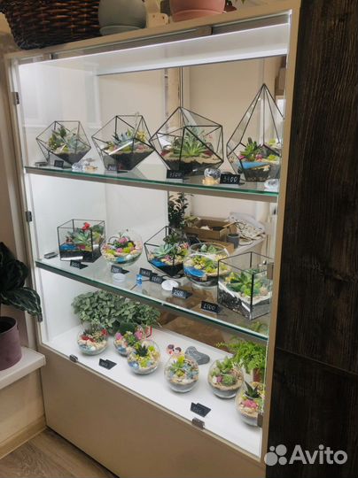 Флорариумы в наличии