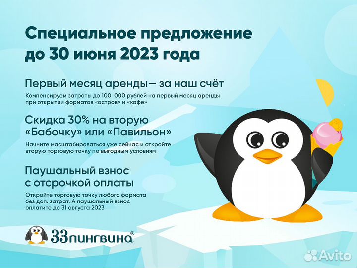 Франшиза мороженое «33 пингвина». Формат «Бабочка»