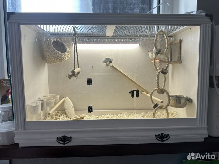 Клетка (витрина) с Амадинами и полным наполнением