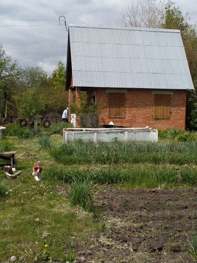 Участок 6 сот. (СНТ, ДНП)
