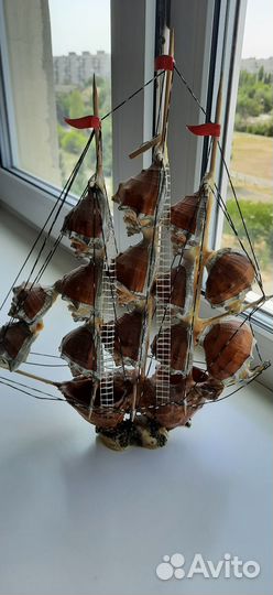 Ракушки кораблик
