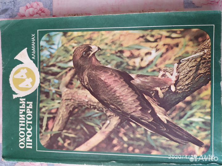 Охотничьи просторы