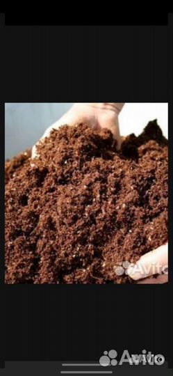 Для ваших (у(са(дьб