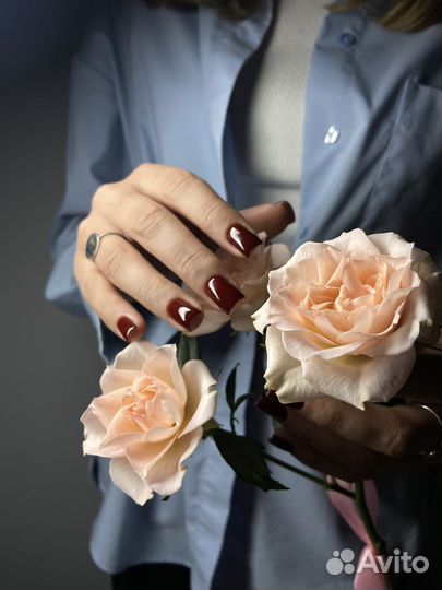 Маникюр, педикюр, брови, ресницы