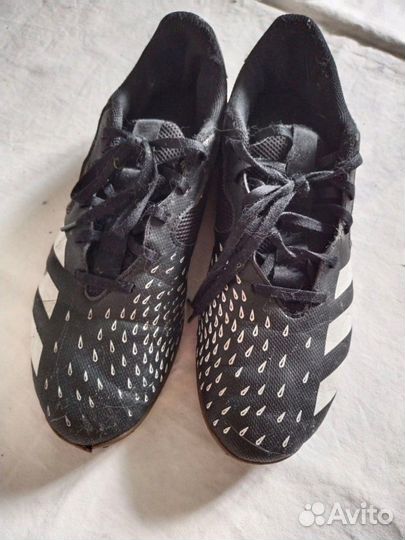 Бутсы adidas predator