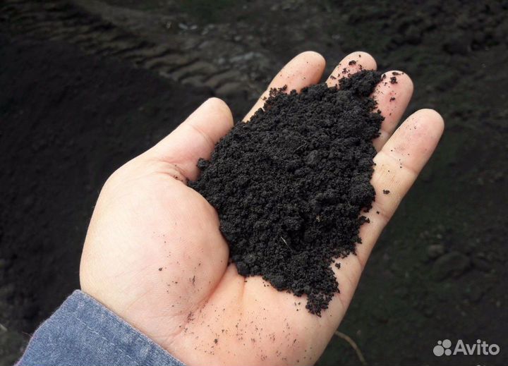 Грунт лесной чёрный, рыхлый, плодородный, Перегной