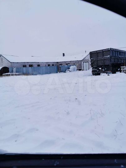 Дом 60 м² на участке 32 сот.