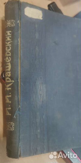 Хата за околицей Крашевский Иосиф Игнатий 191Х