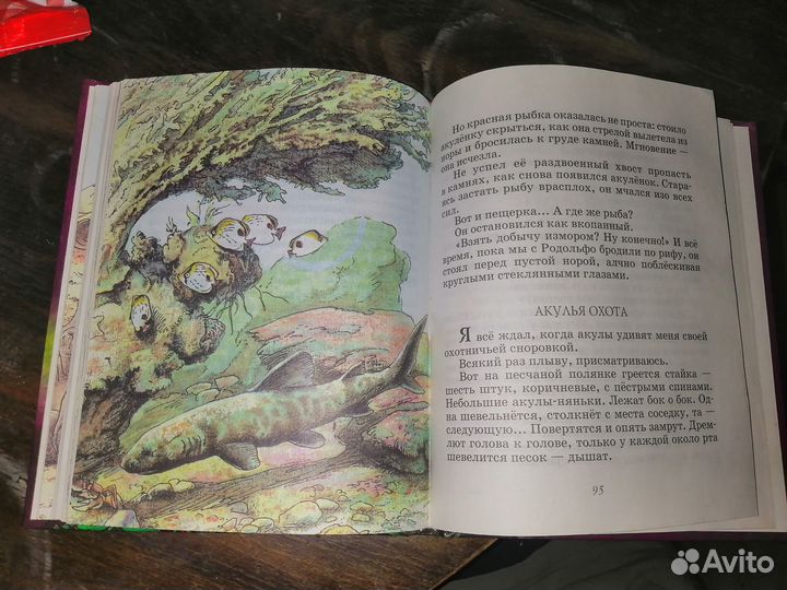 Рассказы о животных