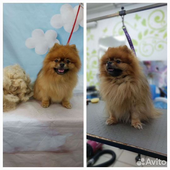 Гигиена,чистка зубов ультрозвуком без наркоза