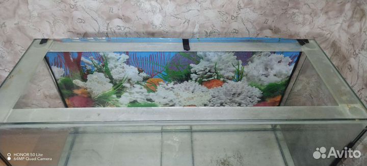 Аквариум