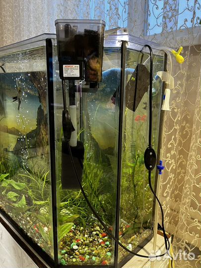 Аквариум