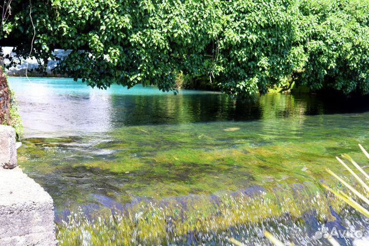 Групповые туры по Абхазии