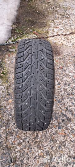 Tigar Winter 205/50 R17