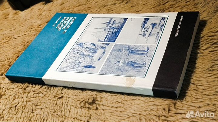 Действия природных факторов на человека