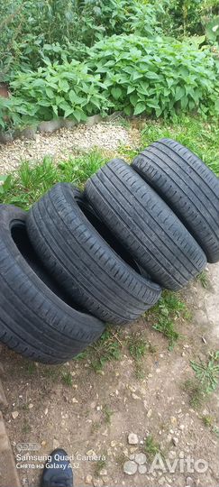 Nokian Tyres Nordman SX2 205/55 R16
