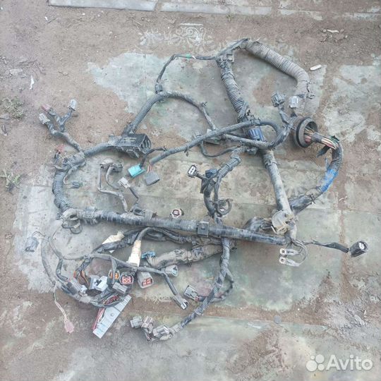 Проводка/моторная коса Nissan Maxima A33