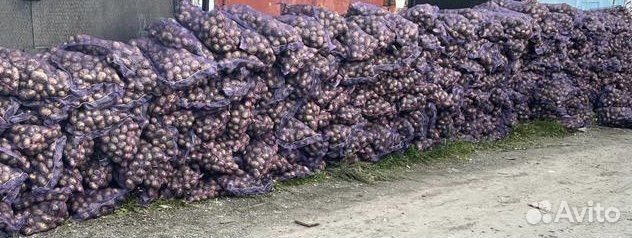 Картофель