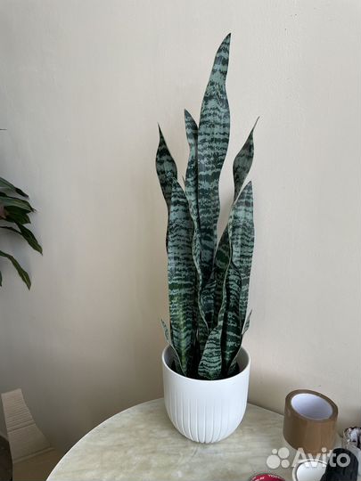 Искусственное дерево искусственные цветы