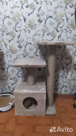 Производим когтеточки, домики для кошек