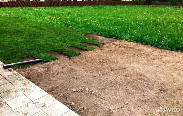 Рулонный газон с бесплатным замером