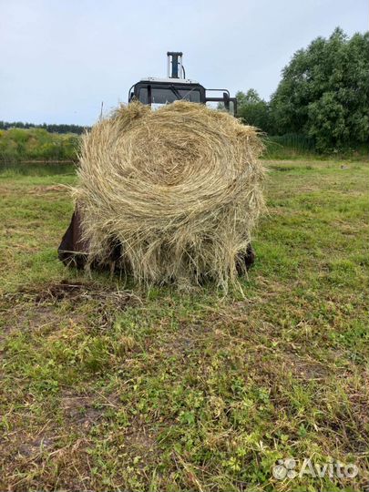 Сено в рулонах (тюки)