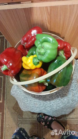 Перец сладкий