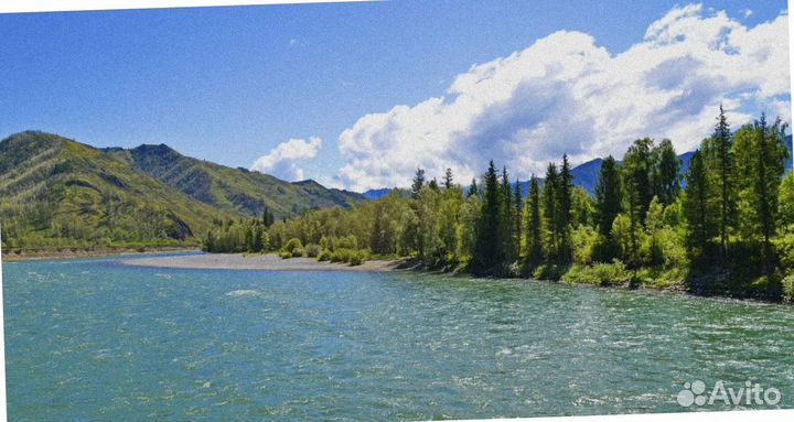 Алтай летний турпутевка экспедиции 4-7 дн