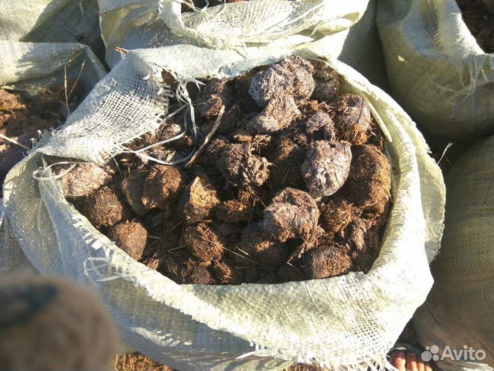 Конский навоз (перегной)