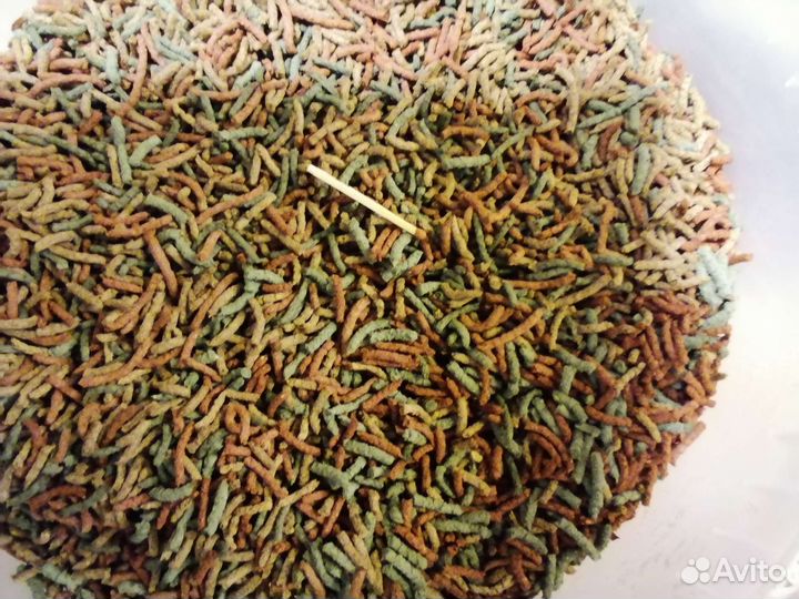 Корм для карпа Кои