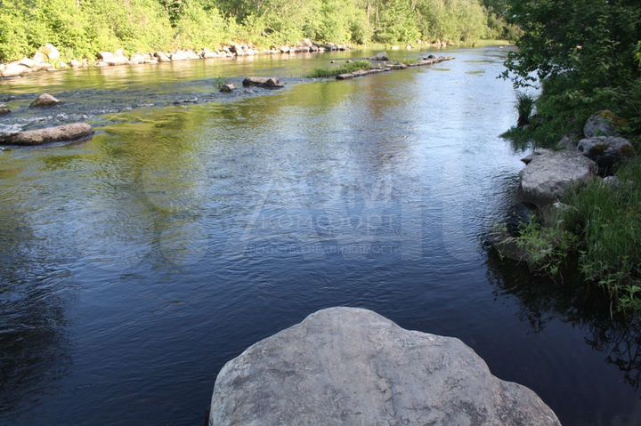 Участок 20 сот. (ИЖС)