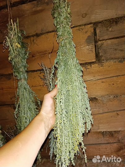 Веники для бани