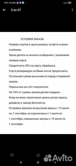 Карликовые ирисы