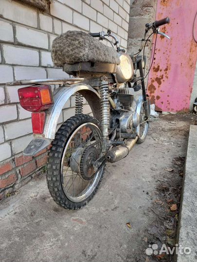 MZ Карпаты