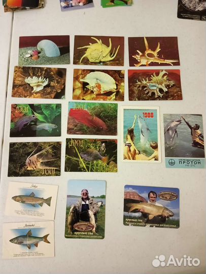 Календарь карманный. Рыбы, ракушки, дельфины