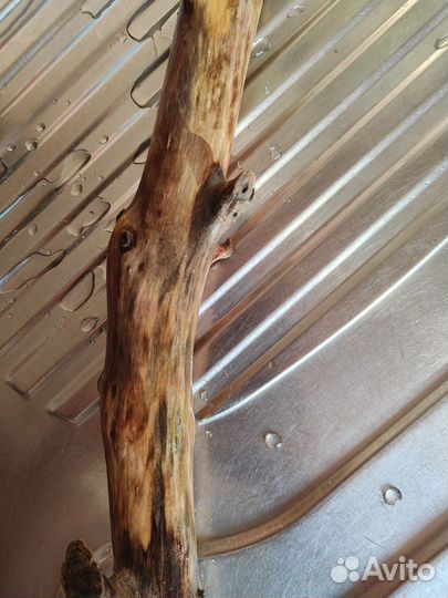 Коряга для аквариума террариума. Декор