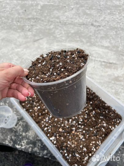 Грунт готовый профессиональный для ароидных