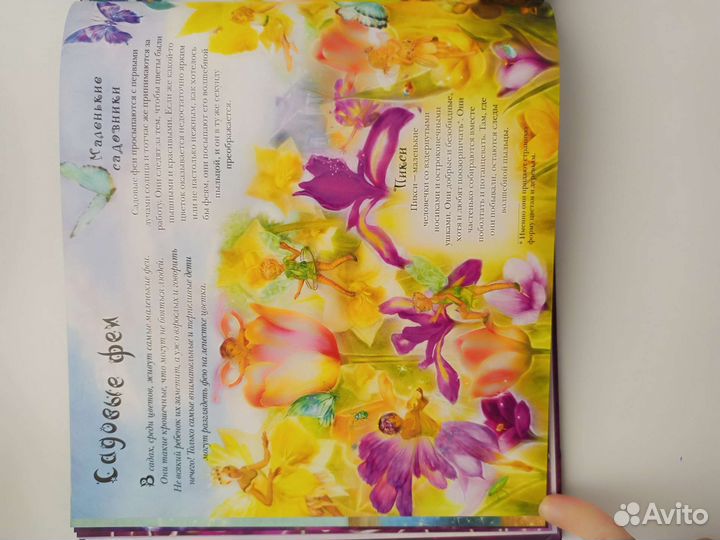 Книга Алисон Мэлони Мир фей