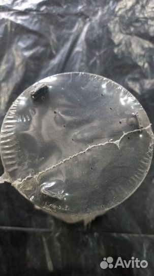 Фильтрующий элемент топлива Scania