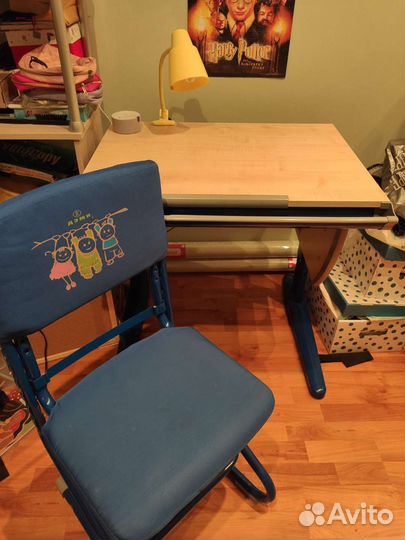 Растущая парта и стул Дэми