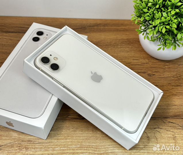 iPhone 11, 256 ГБ